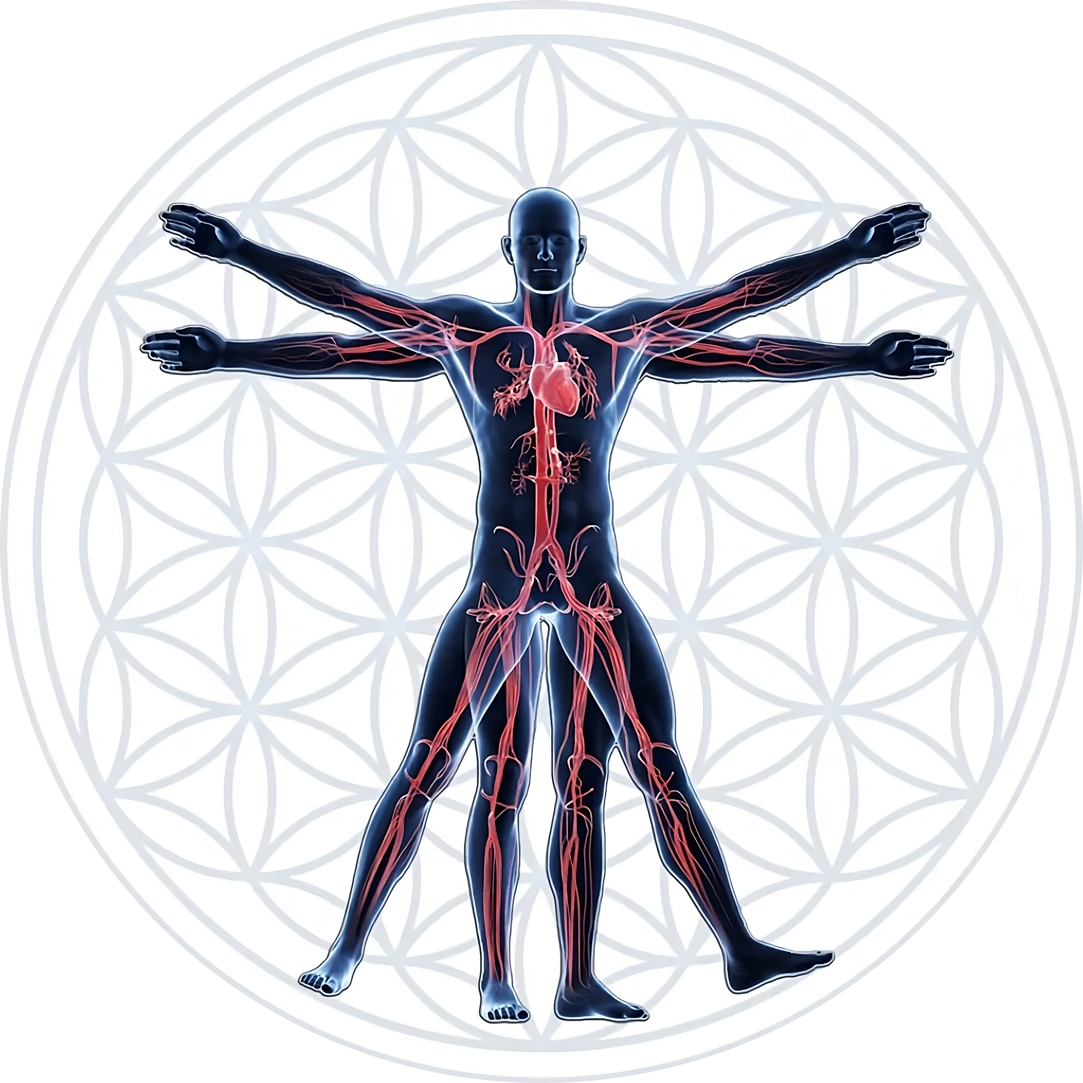 Humanphysio Aarburg